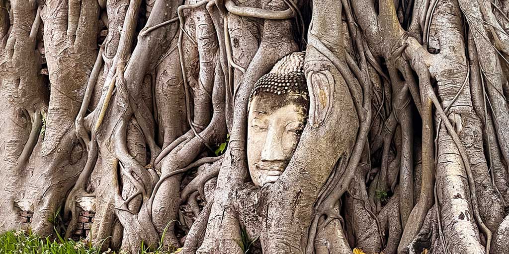 Best things to do in Ayutthaya, Thailand