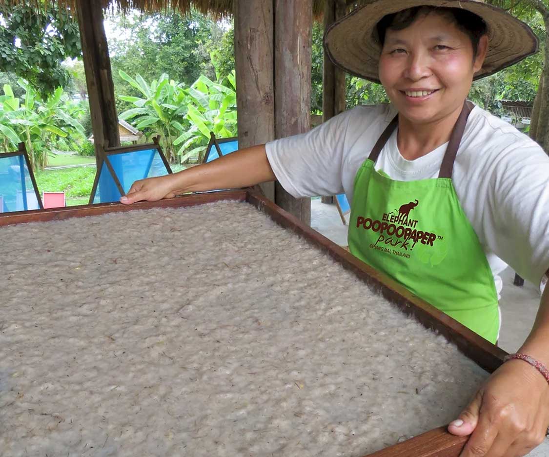 Woman making elephant poo paper at PooPooPaper Park