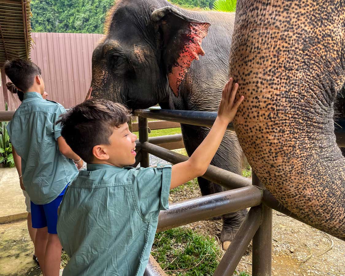 A young boy pats the trunk of an elephant at an ethical elephant sanctuary in Phuket