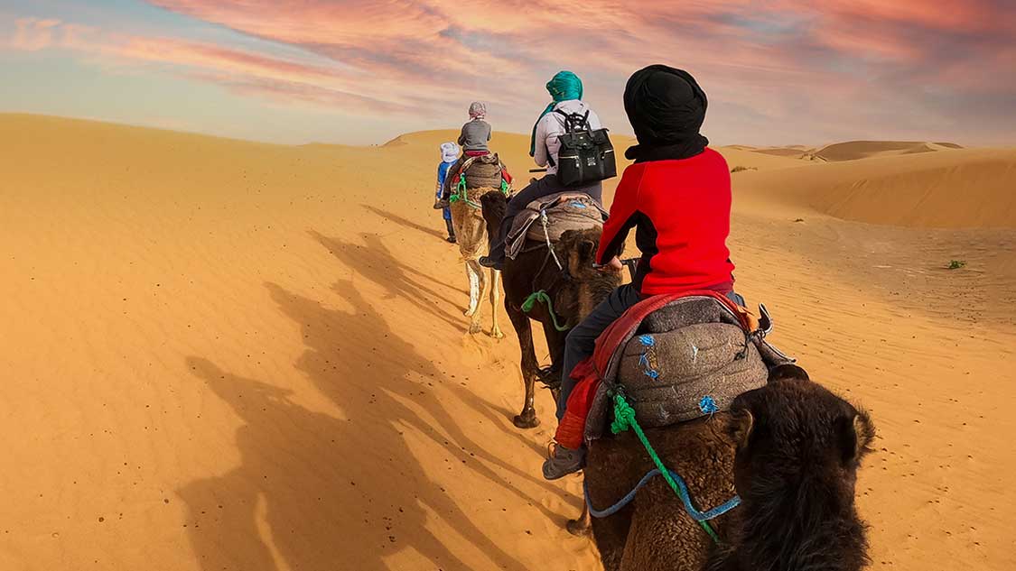 A family rides camels at sunset through the Sahara Desert