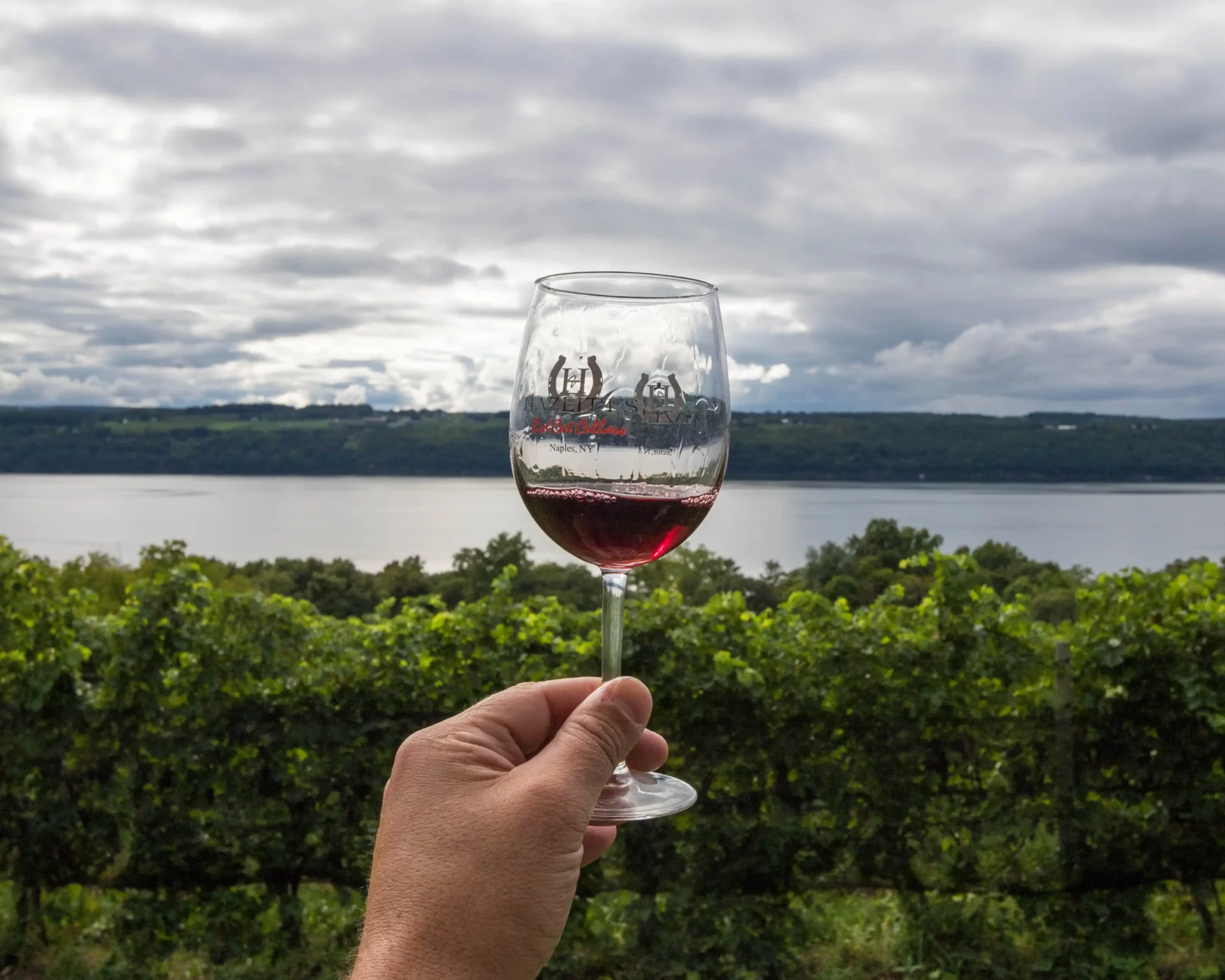 Enjoying a glass of Merlot from Red Cat Cellars in Hector New York
