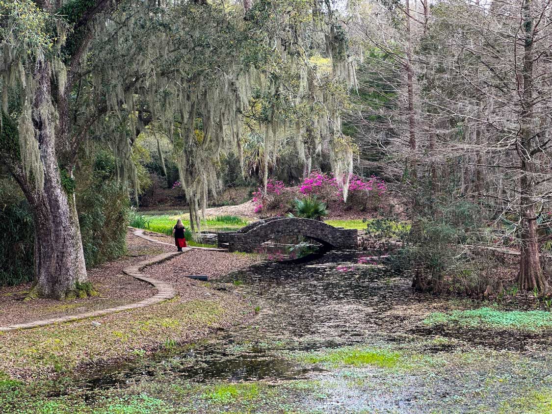 A woman in a red dress walks among weeping willows at Jungle Gardens on Avery Island, Louisiana