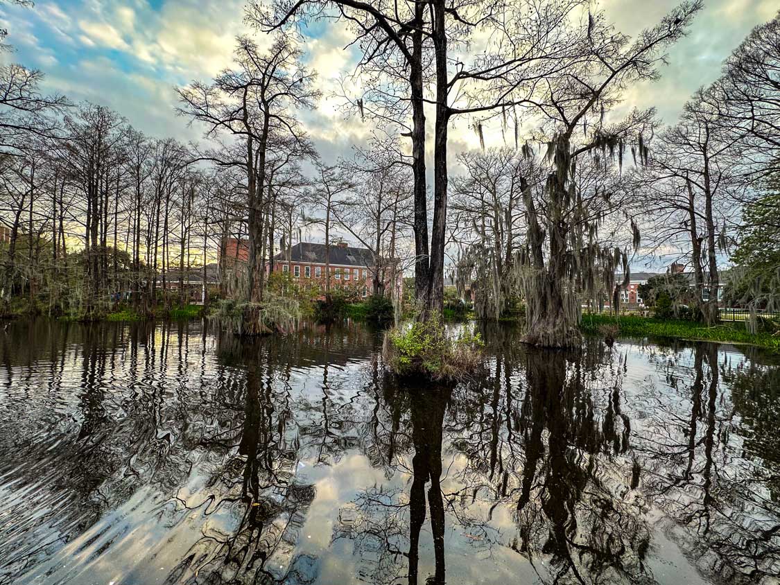 The campus of the University of Louisiana seen through a tree-filled swamp