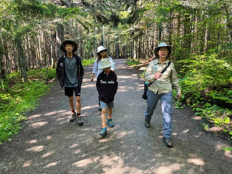 Hopewell Rocks Provincial Park: Discover The Wonder on the Bay of Fundy ...