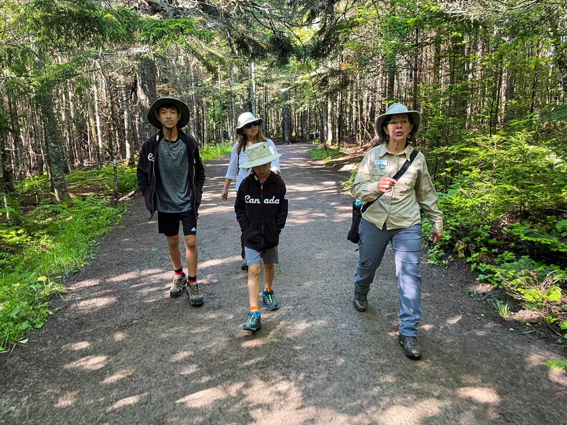 A family hiking through the woods with a New Brunswick Parks guide