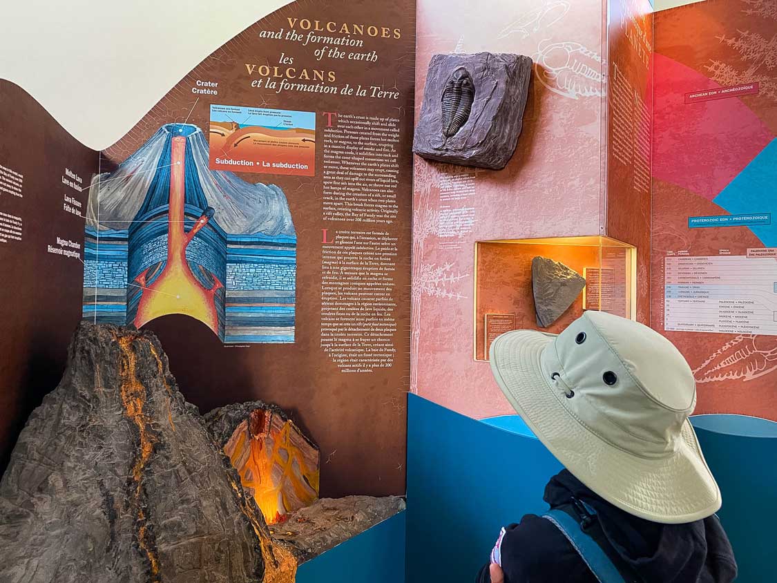 A boy looks at a volcano display at the Hopewell Rocks Interpretive Centre