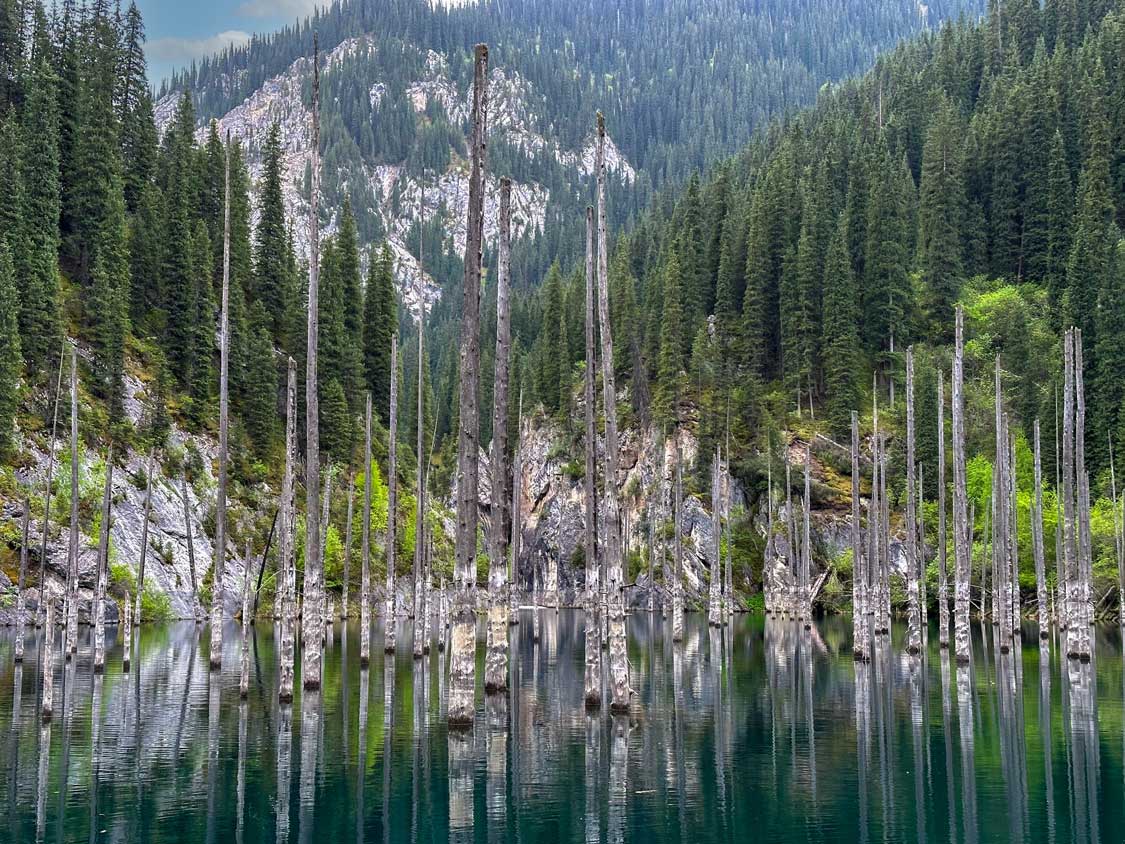 Tree trunks jut from a turqoise-blue lake at the base of a mountain in Kaindy Lake, Kazakhstan