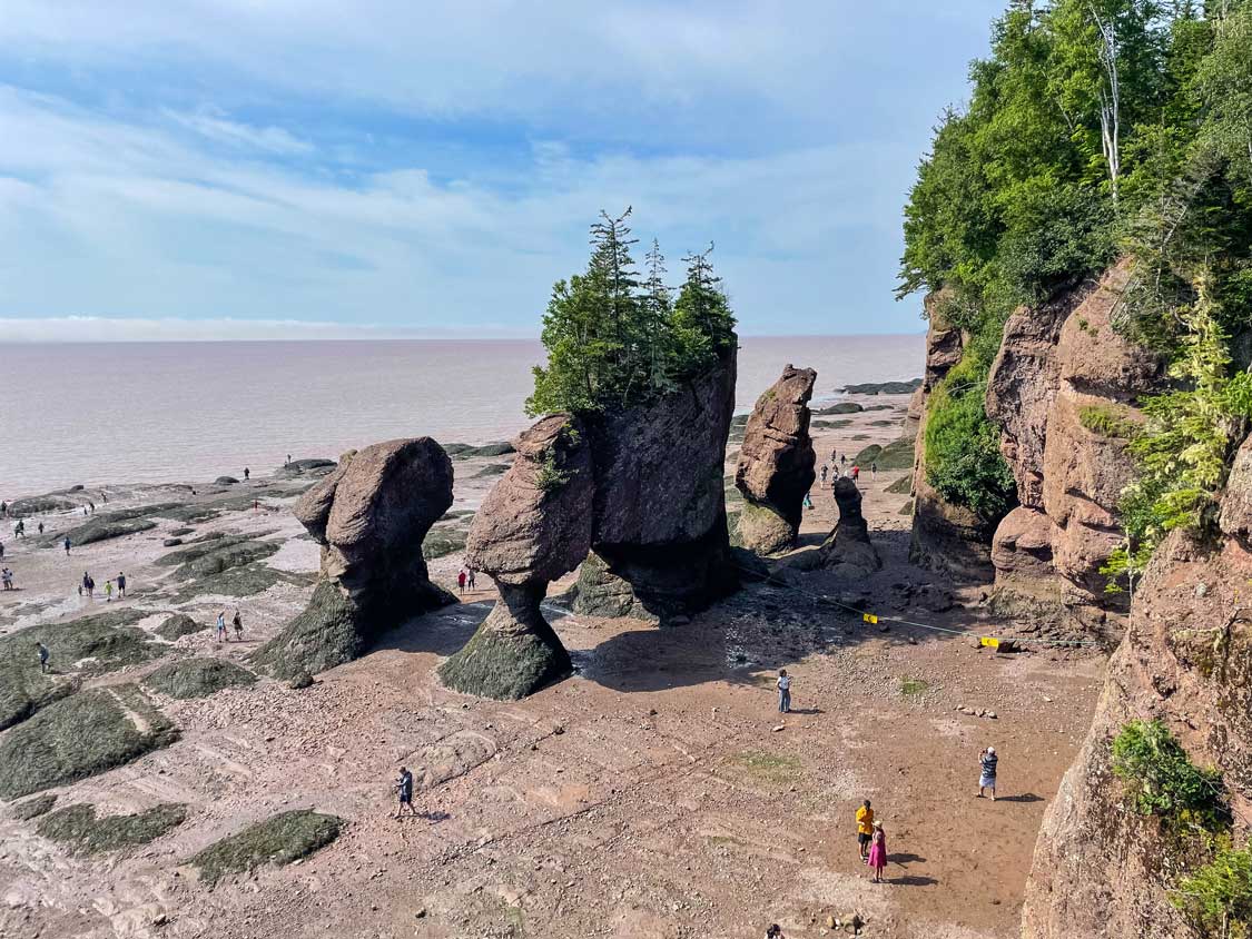 A Complete Guide to Fundy National Park Camping