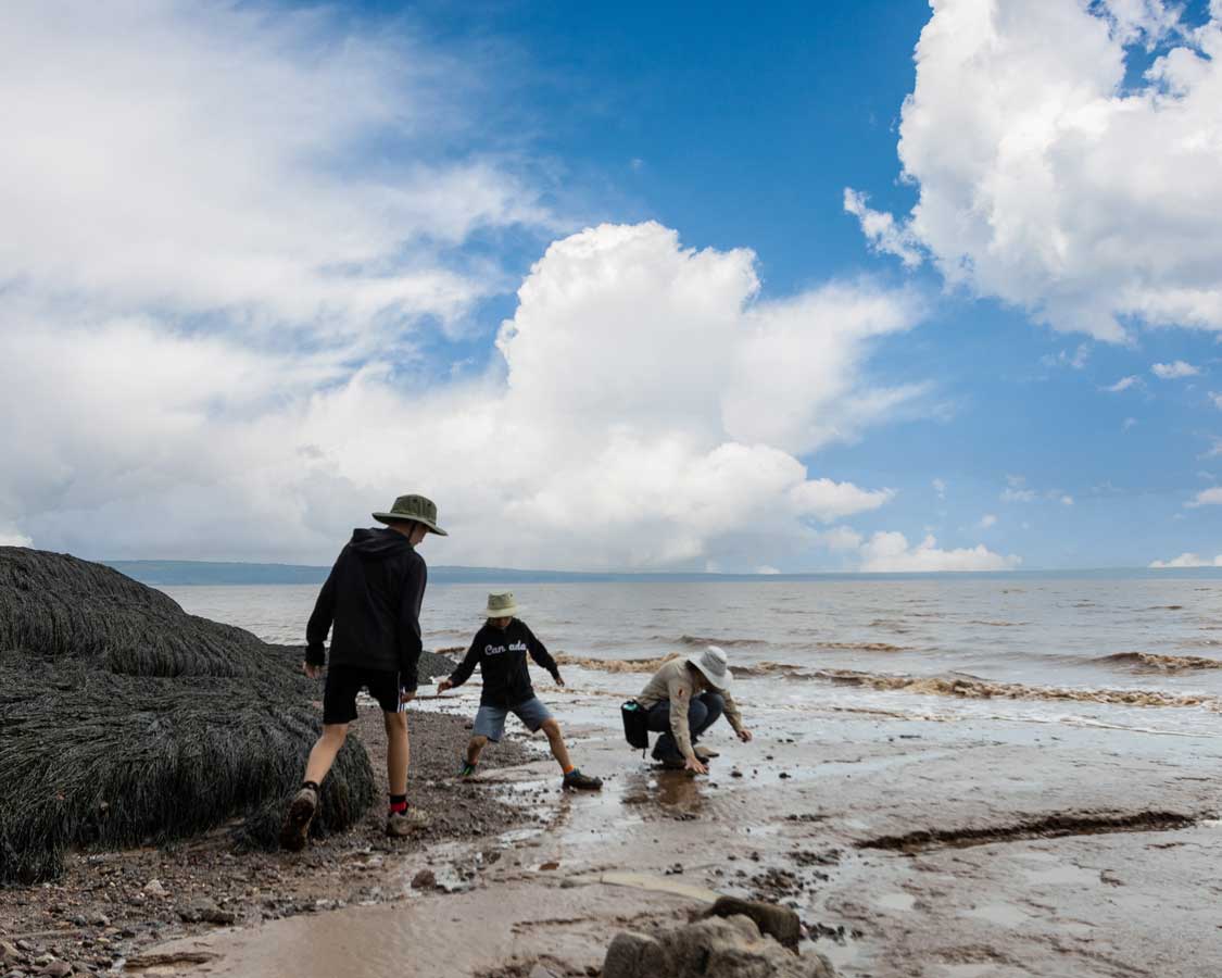A family walks on the ocean floor at Hopewell Rock PP