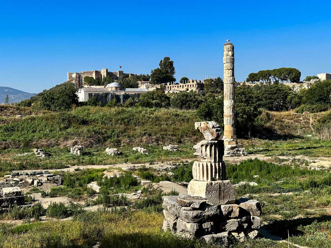 One and a half Greek columns in a field represent the remains of the Temple of Artemis