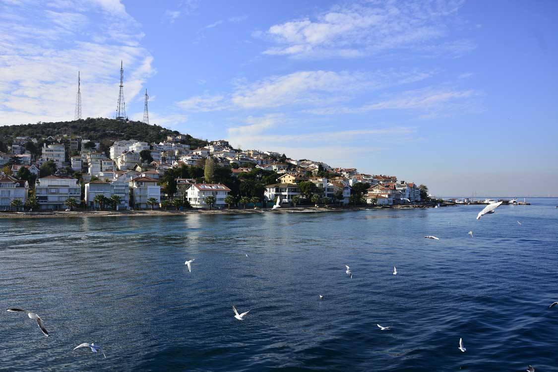 Birds fly past a boat near Princes' Island Istanbul