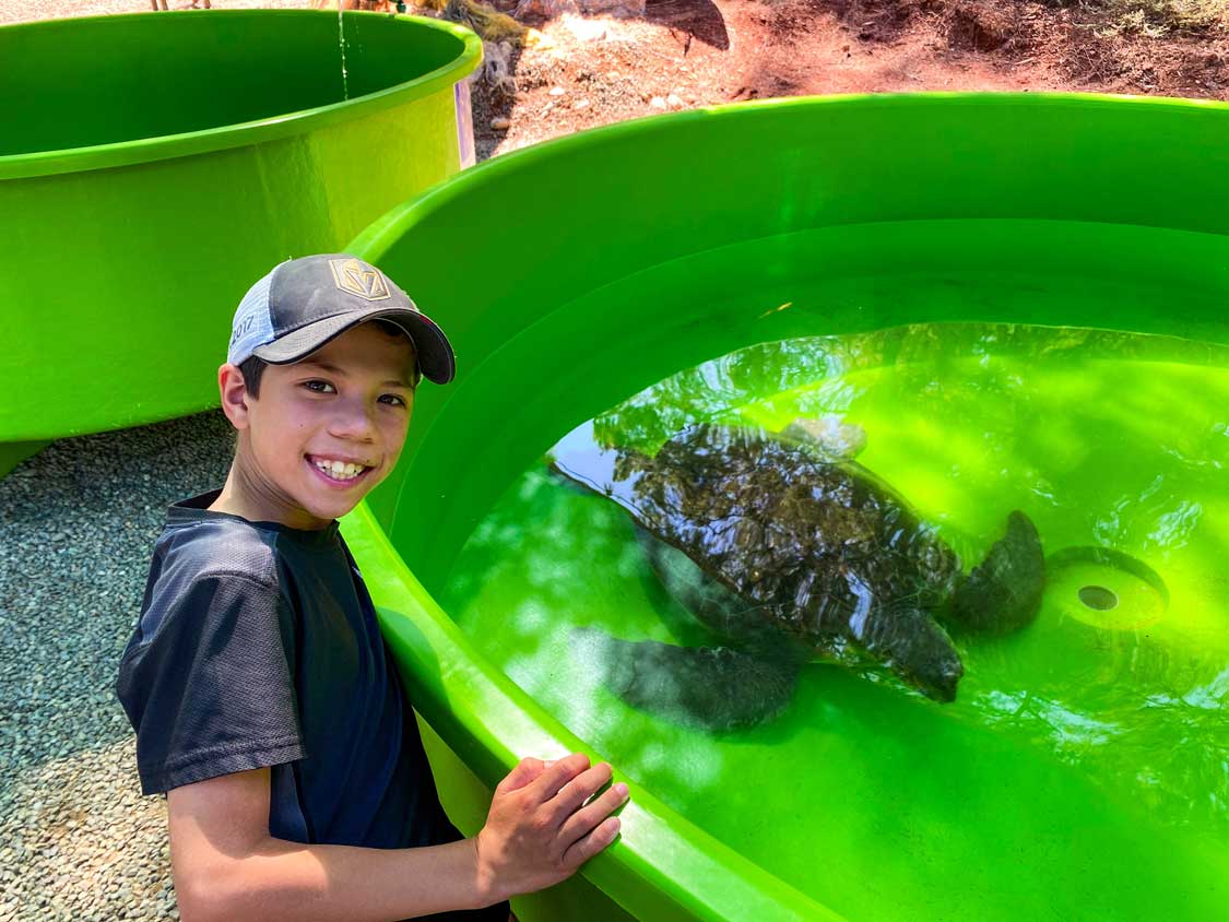 A boy smiles next to a green container holding a Loggerhead Turtle at the Kaptan June Turtle Conservancy