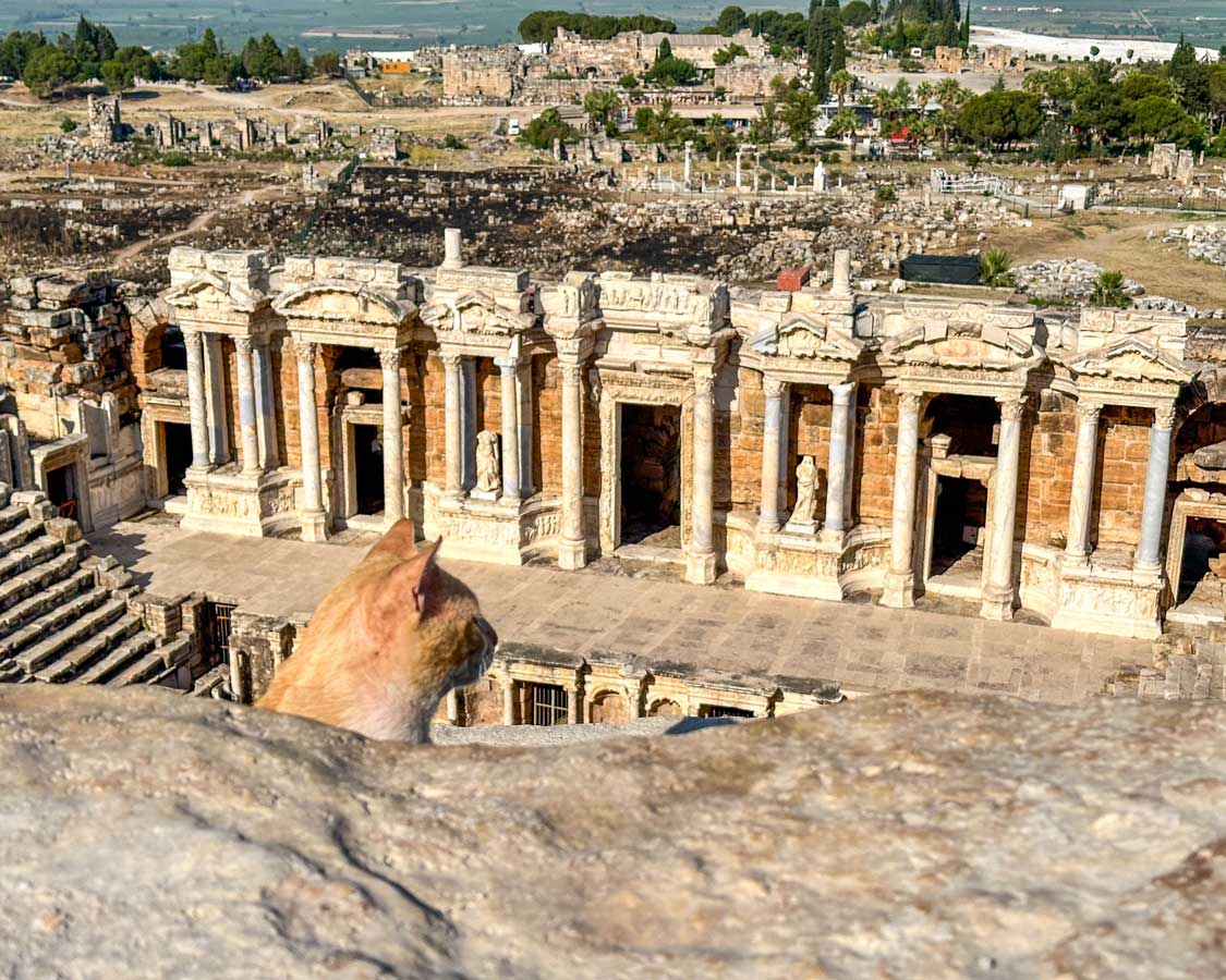 A cat pokes its head above the seats of the Roman theater in Heirapolis, Turkiye