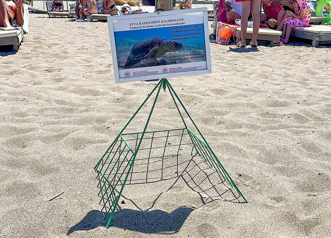 A cage with a sign protects a turtle nest on Iztuzu Beach during hatching season