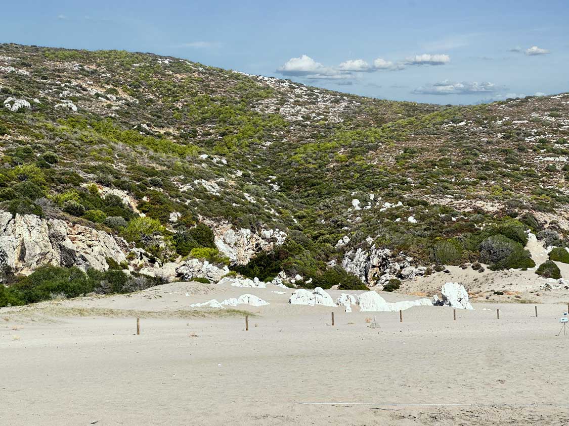 Sand dunes dotted with grasses sit at the back of Patara Beach while protected beachland with turtle nesting sites lie in front of it.