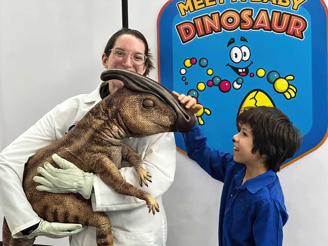 A young boy pets the head of a dinosaur at Jurassic World Mississauga