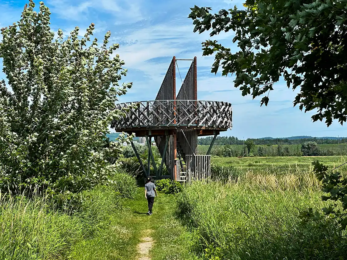 teenager walking to the viewing platform at Parc National de Plaisance