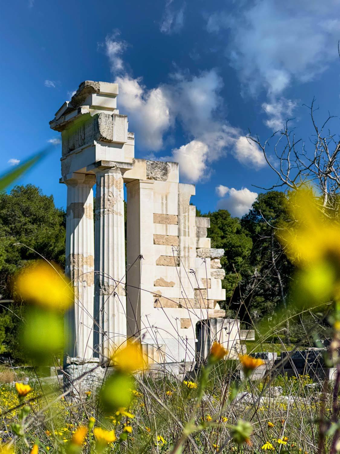 The Temple of Asklepios in Epidaurus surrounded by wildlfower