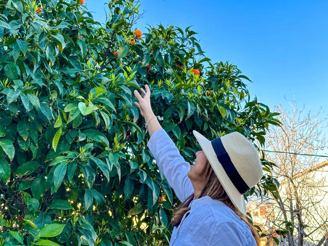 A woman reaches up to pluck a fresh orange from a tree in Nafplio, Greece