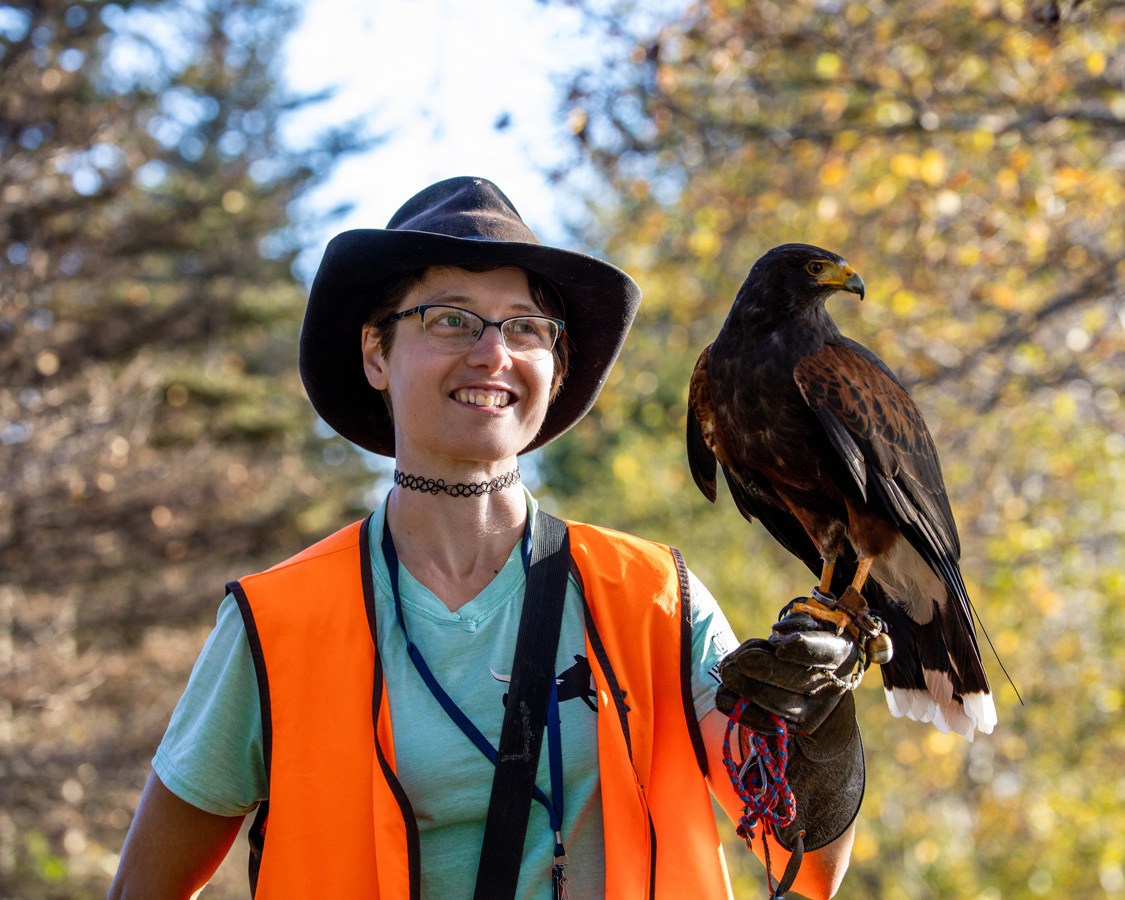 Falconer Emily Wrenshall of Talon and Bark Falconery with her Harris Hawk, Komori