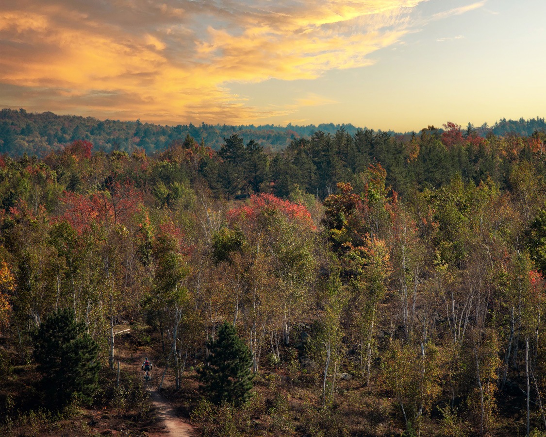 A mountain biker rides into the autumn forest at Walden Trails in Sudbury