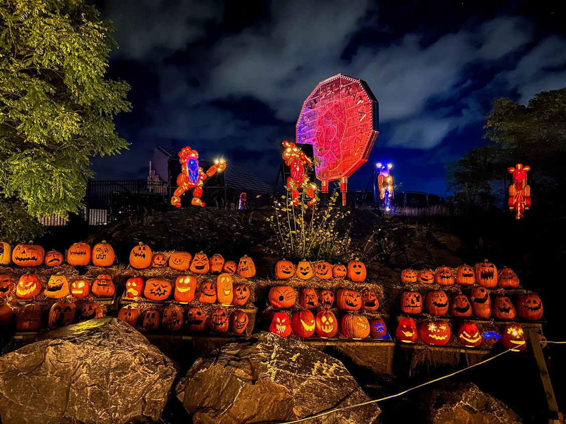 Pumpkins lit up in front of the Big Nickel at Dynamic Earth during Pumpkinferno