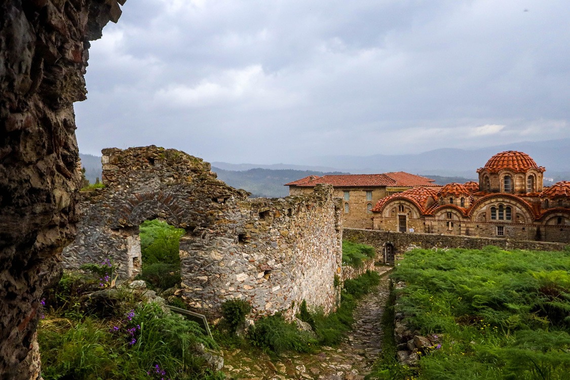 Wildflowers grow amongst the ruins of houses in Mystras, Greece