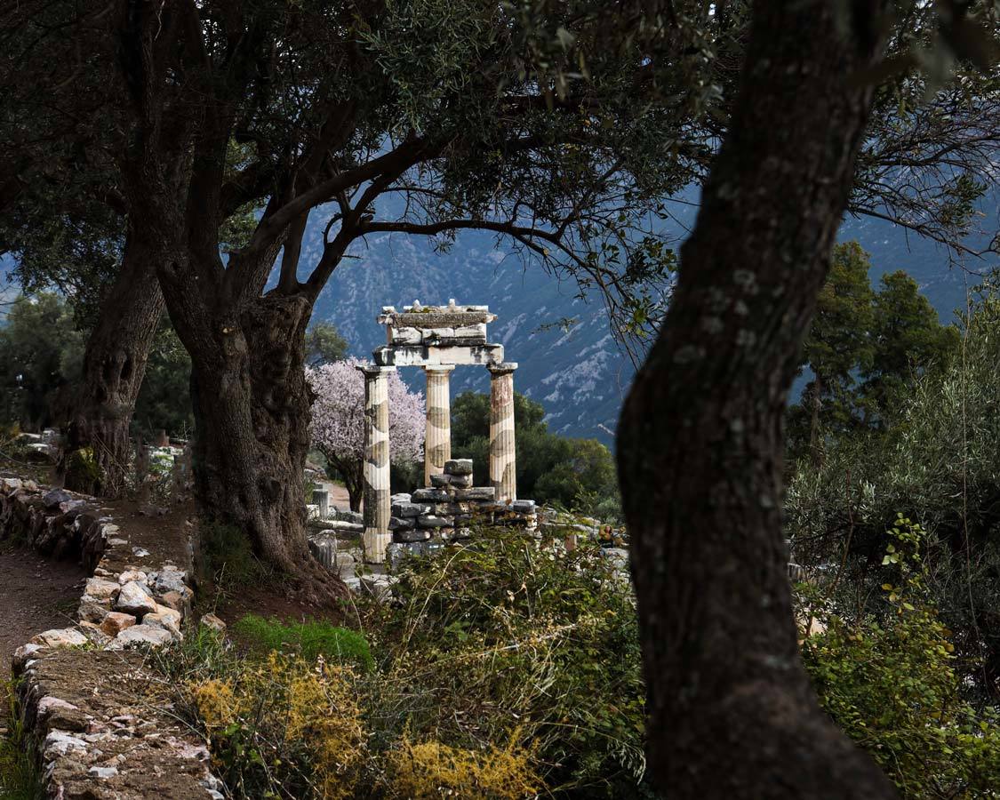 The Temple of Athena in Delphi, Greece seen through some trees