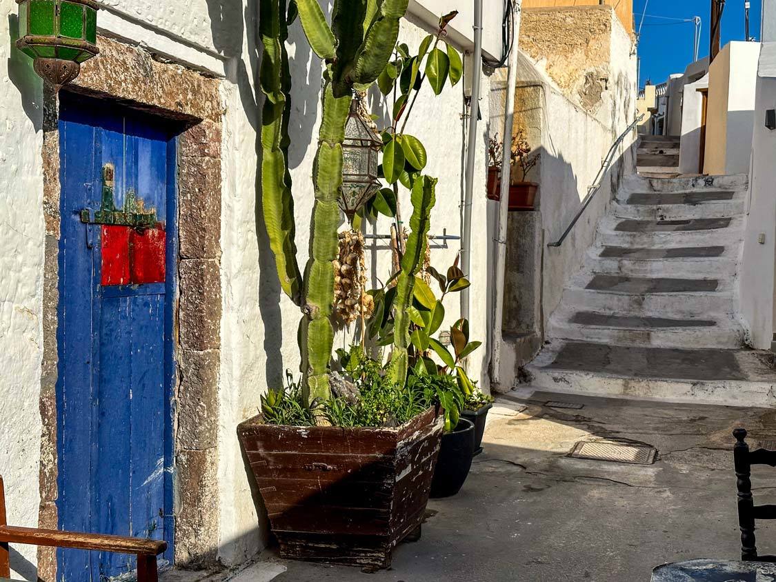 A cactus sits next to a blue door on a quiet street in Megalochorie, Santorini