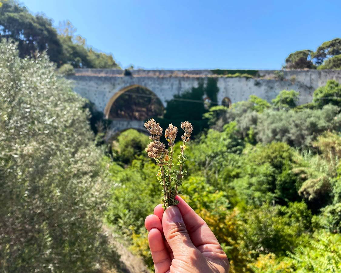 A womans hand holds up a local Cretan spice in front of the Spilia Aqueduct in Crete