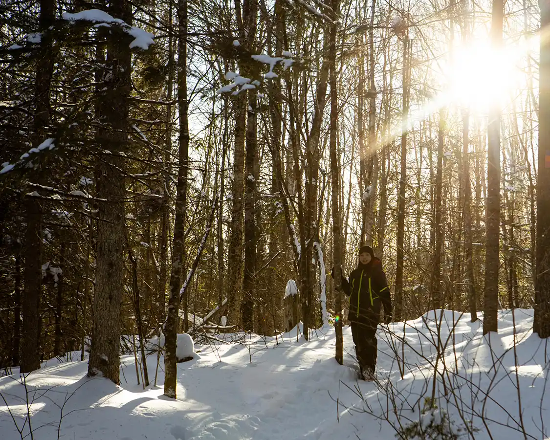 Boy hiking through a sunlit forest in La Mauricie National Park