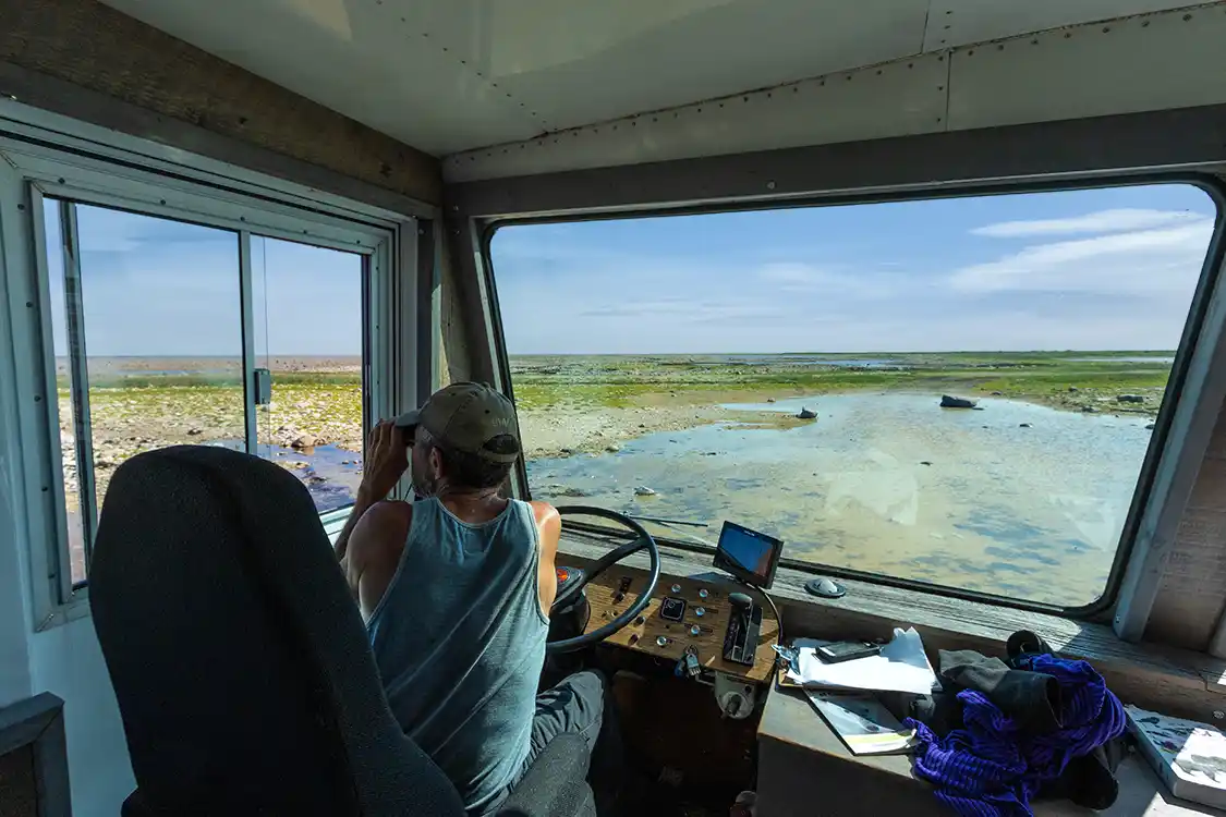 The pilot of a Frontiers North Tundra Buggy scans for wildlife in Wapusk National Park