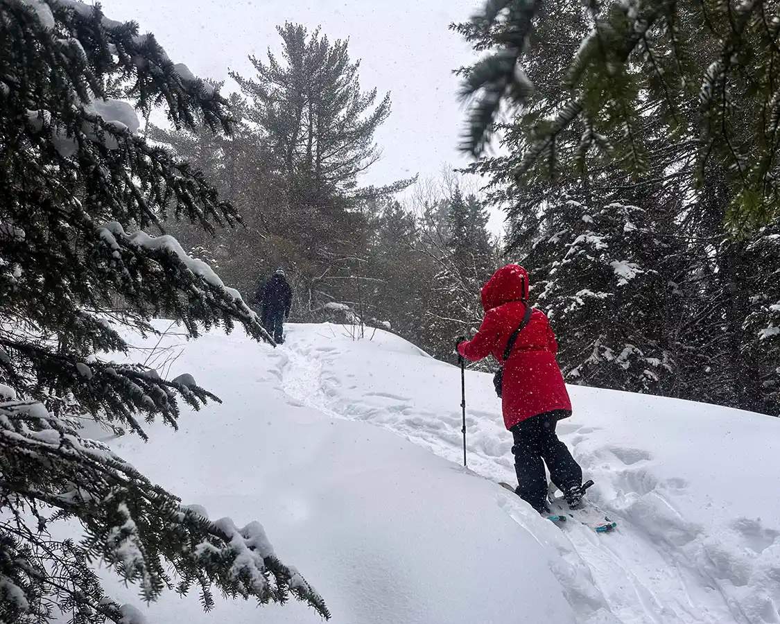 A woman in a red jacket snowshoeing during a snowstorm in La Mauricie National Park