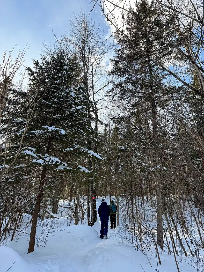 Hiking through the Laurentian Mountains in winter at La Mauricie National Park