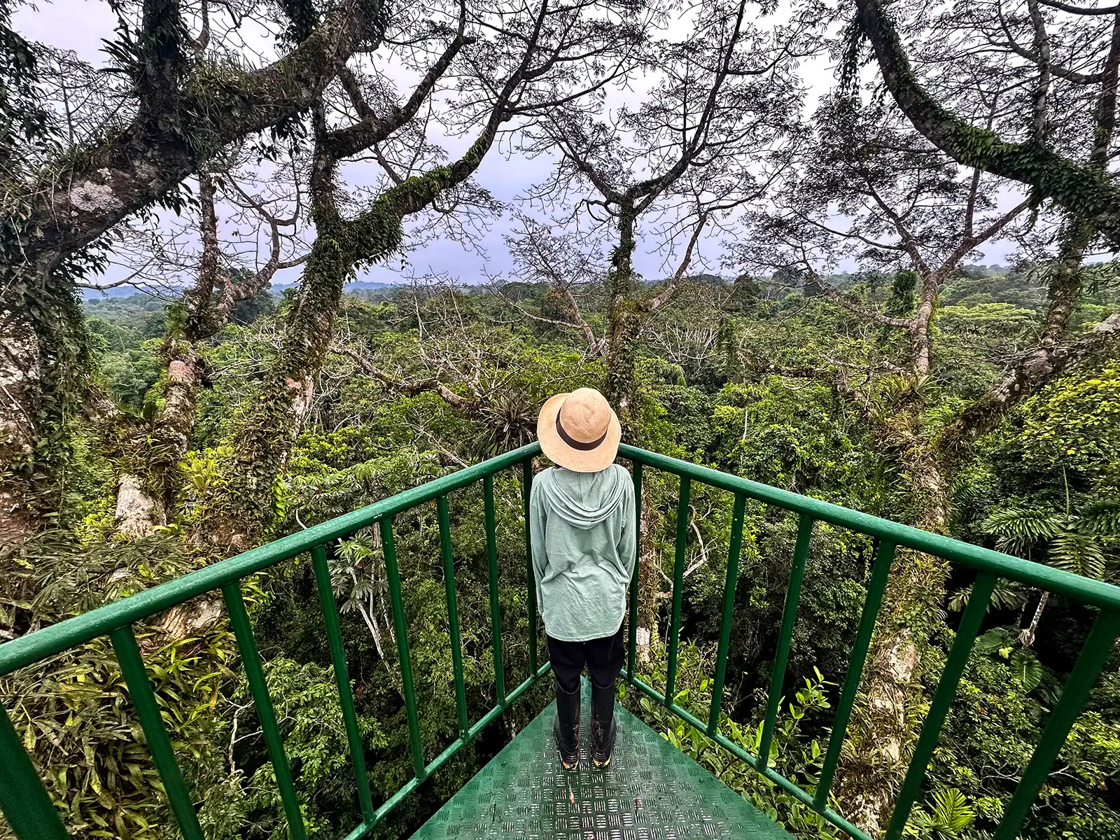A boy stands on a canopy platform in the Amazon rainforest in Ecuador