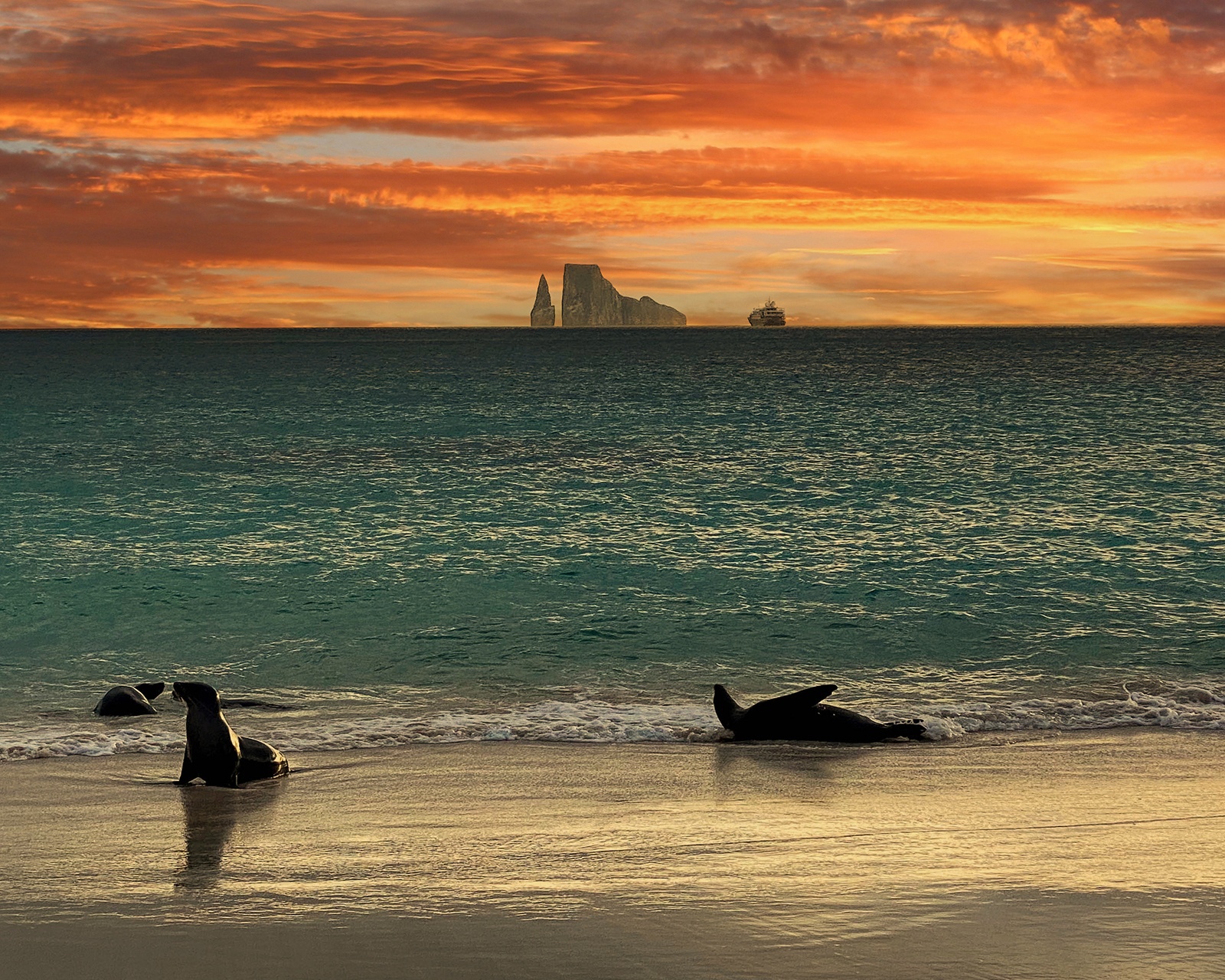 Two seals play in the water in front of Kicker Rock at sunset in the Galapagos Islands