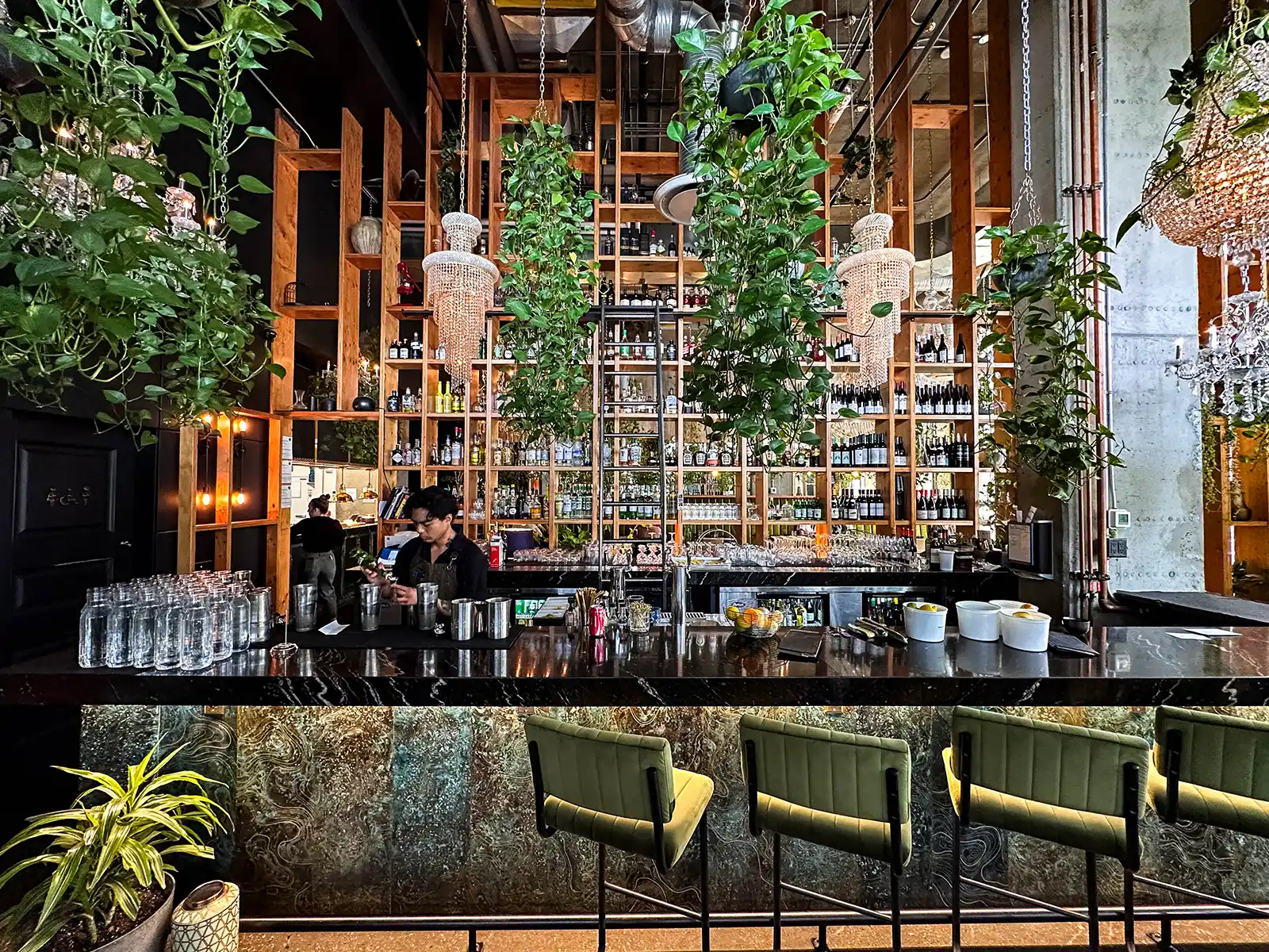 Plant covered bar of Orchard Restaurant