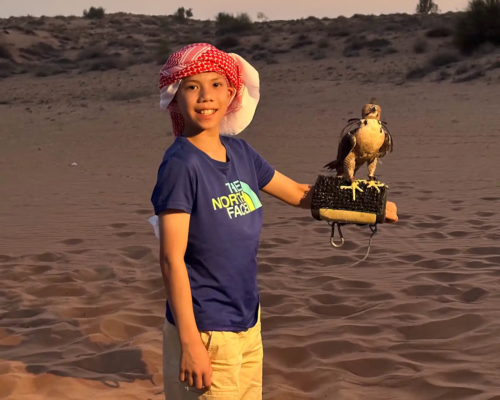 A young boy wearing a head scarf holds a peregrine falcon on a Dubai desert tour