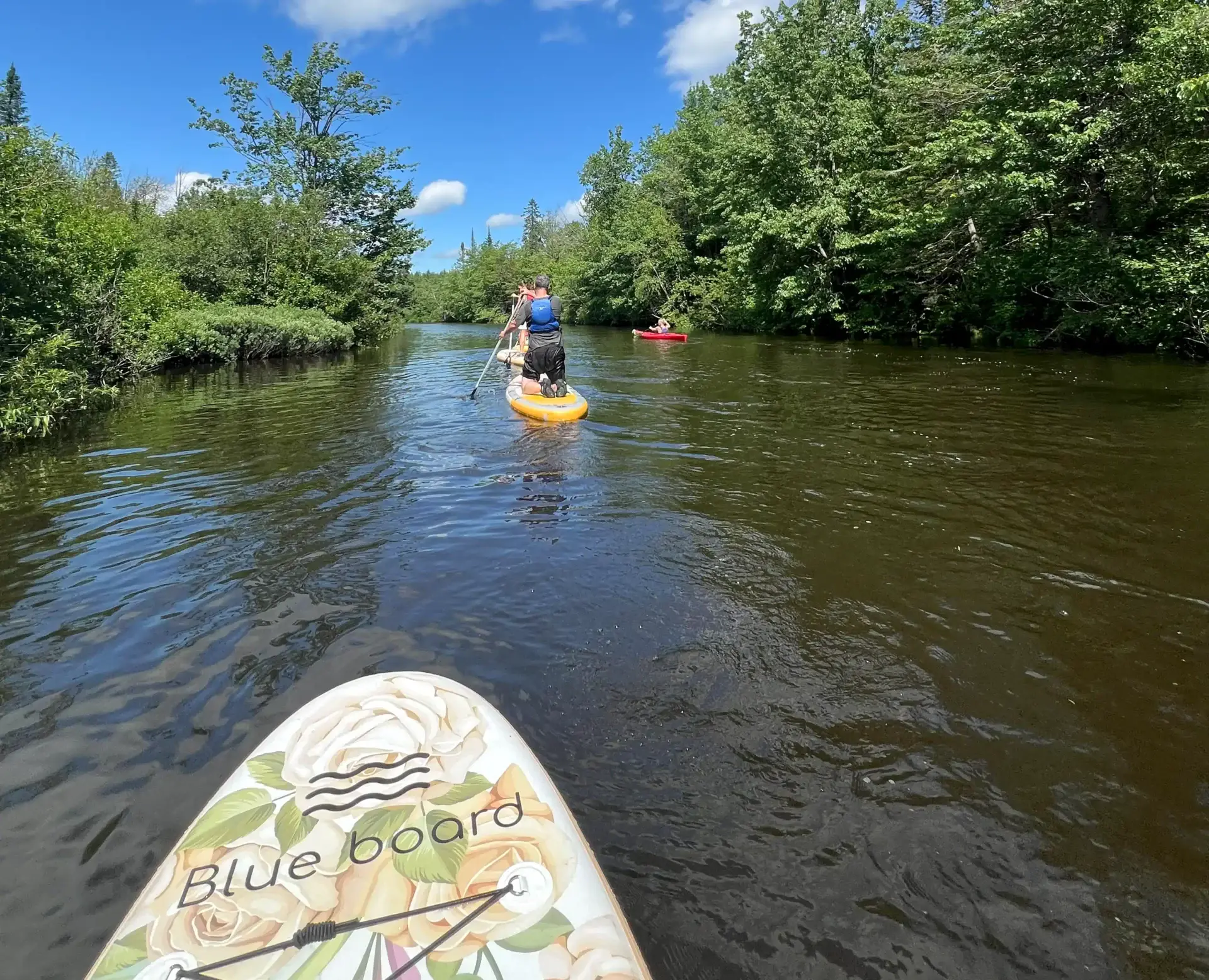 A small group of people enjoy a casual paddleboarding experience on the St. Charles River