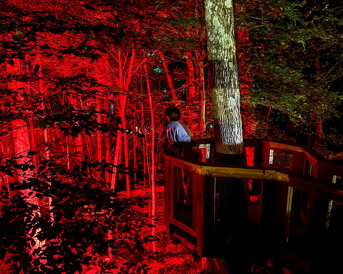 A teenager looks out at an illuminated forest at the Tonga Lumina Show in Tremblant Resort