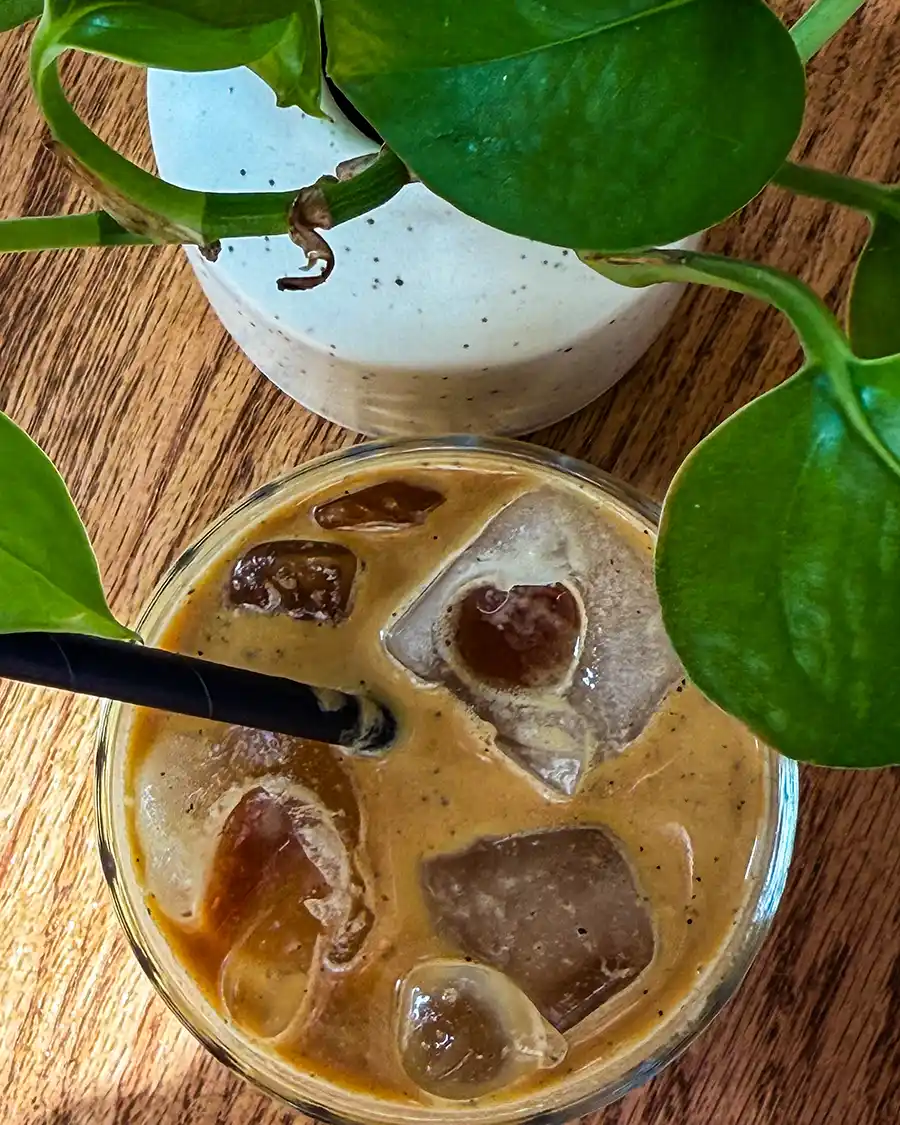 Black Sesame Iced Coffee next to a plant in a white pot.