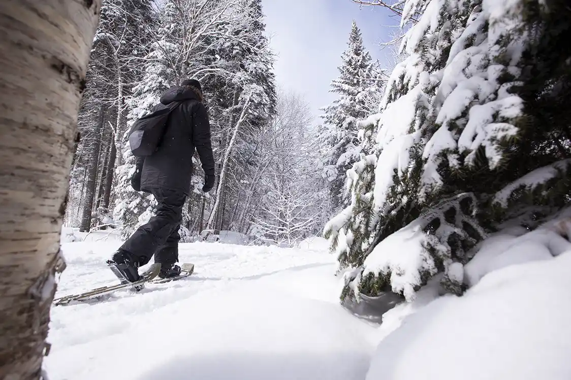 A woman snowshoes through the forest in Mont-Megantic NP