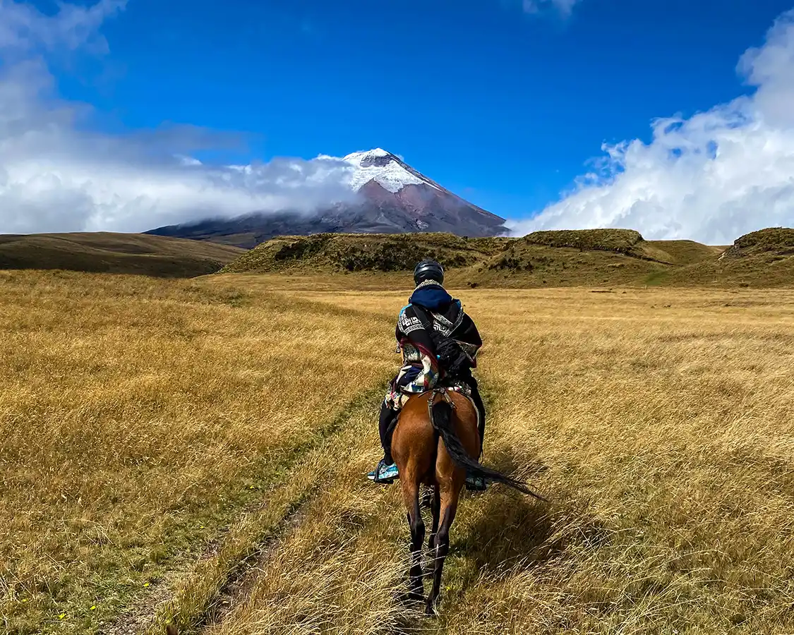 A boy wearing a traditional Ecuadorian poncho rides a horse across a grassland toward Cotopaxi Volcano