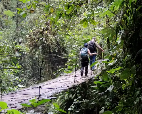 Mindo cloud forest tour from Quito