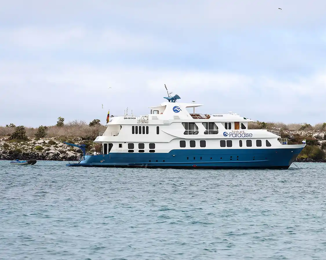A small cruise ship with the name Natural Paradise floats near one of the Galapagos Islands
