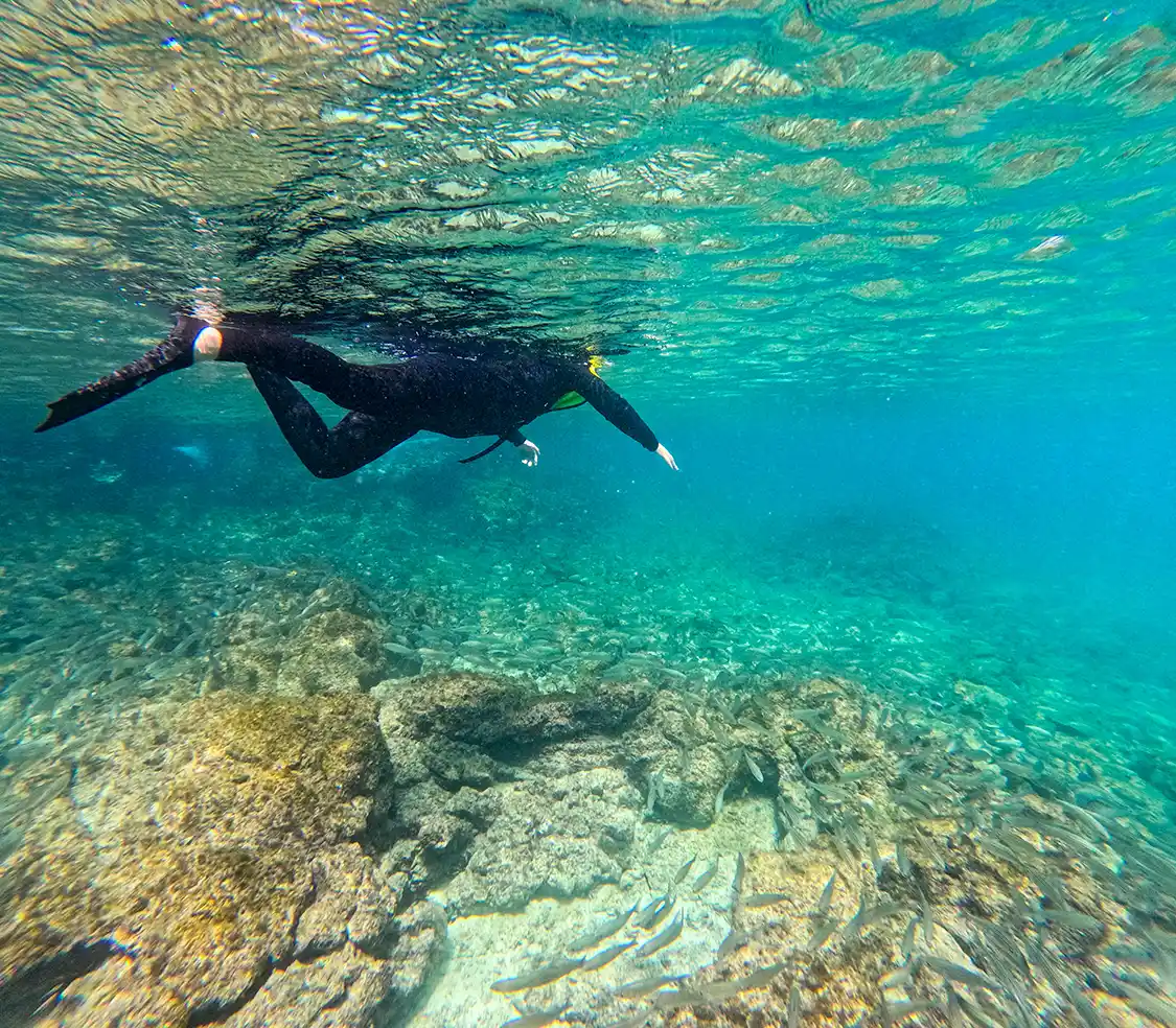 A teenager snorkels over a school of fish in the Galapagos Islands