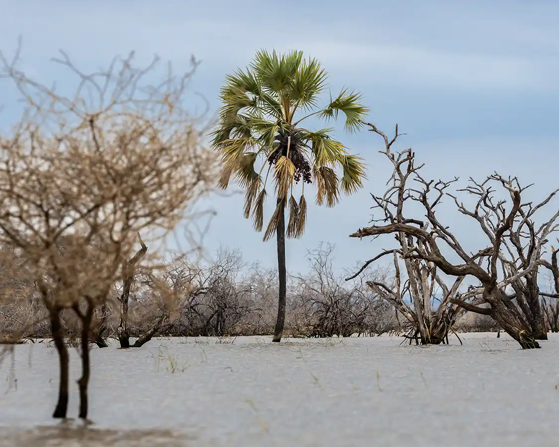 Flooded roads at Lake Manyara National Park in Tanzania