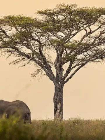 Tanzania Northern Circuit Itinerary for Families Twitter