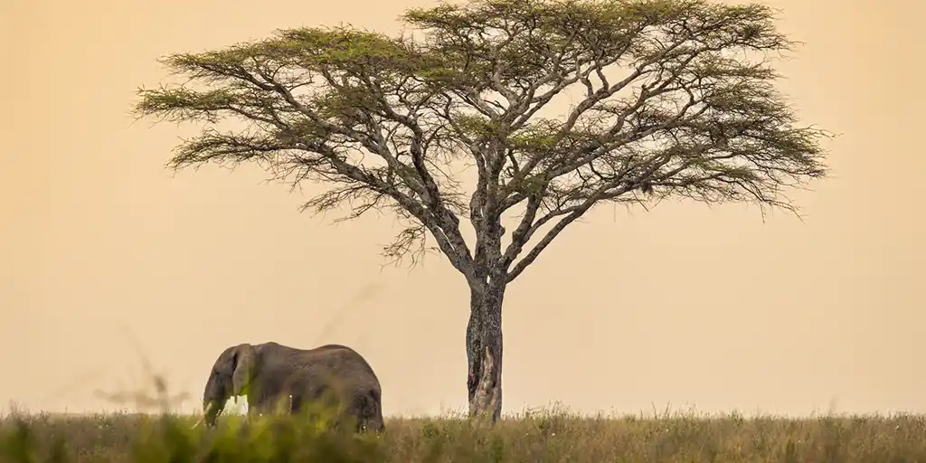 Tanzania Northern Circuit Itinerary for Families Twitter