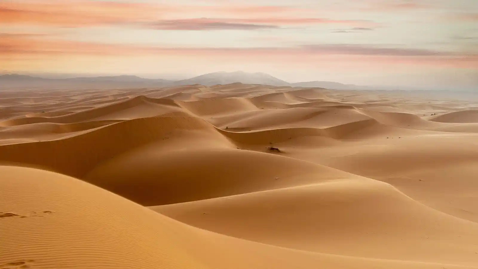Sand dunes in Morocco's Sahara Desert at sunset